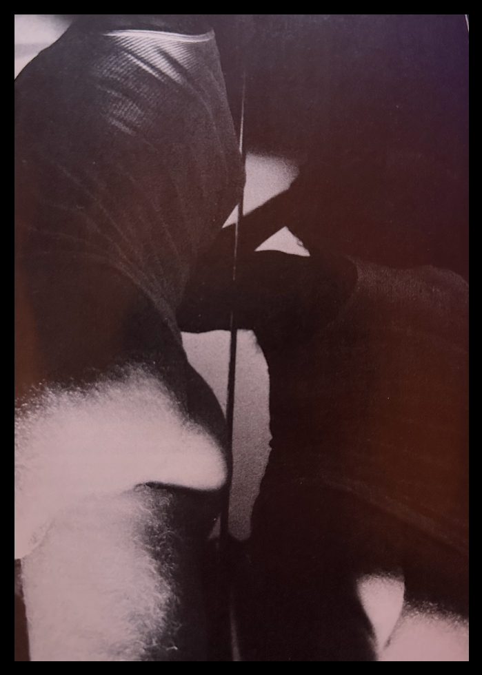 Photograph by Mark Rosenfeld, Christopher Street magazine, February 1983