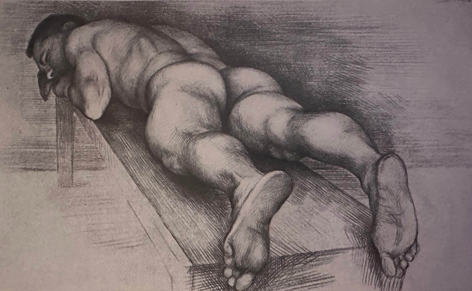 Paul Cadmus, "Ted," 1955, pencil and egg tempera, 9" x 15"